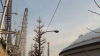 DSC00745.JPG